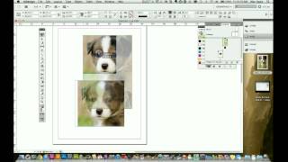 Indesign CS5 Tutorial  How to Use the Frame tool [upl. by Nosna346]