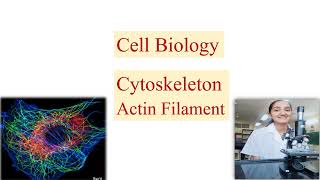 CYTOSKELETON PART 1 ACTIN FILAMENT  In detail  CSIR net DBT  ICMR  IIT JAM  GATE [upl. by Idleman]