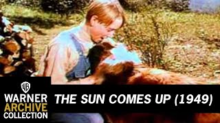 Original Theatrical Trailer  The Sun Comes Up  Warner Archive [upl. by Llirrem107]