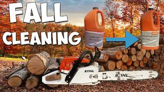 Easy amp Effective Fall Chainsaw Maintenance for Beginners [upl. by Yahc502]