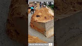 The Process Of Pouring Concrete From A Height [upl. by Acinnor]