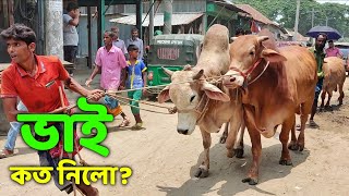 Bhai Koto Nilo Paragram Hozrotpur Gorur Haat 2022  Part 13  Qurbani Cow Price in Bangladesh [upl. by Colet]