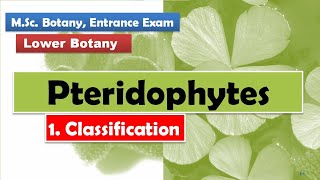 Classification  Pteridophytes [upl. by Leroy780]