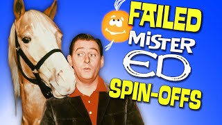 Mister Ed Why The Spinoffs Failed [upl. by Kcod127]