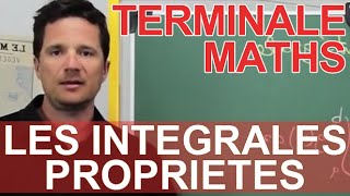 Les intégrales  Propriétés  Maths terminale  Les Bons Profs [upl. by Ressay]