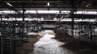 Inside Look features the Pennsylvania Farm Show [upl. by Eyaf]