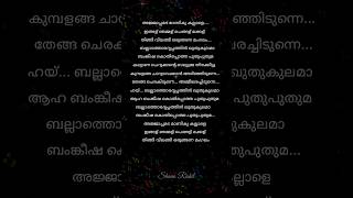 Ajjappamada Song Lyrics  Kadakan  ajjappamada kadakan [upl. by Enaenaj]