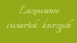 LUZOWANIE  TRYBOWANIE ĆWIARTEK KURZYCH Jak wyluzować trybować ćwiartki kurze [upl. by Ylecara]