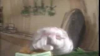 Shari Lewis Lamb Chop Jump Into The Story Part 2 [upl. by Berri]