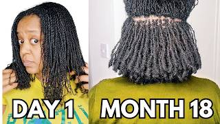 18 MONTH VISUAL LOC JOURNEY  Pictures amp Videos  DIY two strand twist microlocs  LifeLoveLocs [upl. by Mariko]