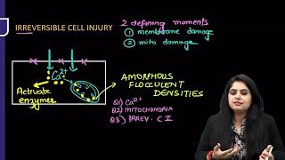 Cell Injury Pathology Rapid Revision For FMGE amp NEET PG By Dr Preeti Sharma [upl. by Osborne]