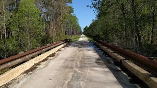 Stories From The Ride  Exploring the Osceola National Forest [upl. by Rudie]