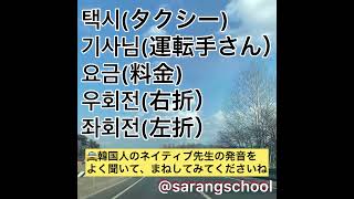 韓国旅行必須会話① タクシー乗車時に必要な単語とフレーズ🇰🇷韓国旅行で使える韓国語を覚えて、旅行をより一層楽しみましょう韓国語bts韓国料理ハングル韓国ドラマ韓国＃韓国語教室韓国旅行 [upl. by Dulcea]