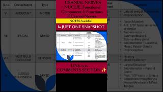 NUCLIE FUNCTIONAL COMPONENTS amp FUNCTIONS l CRANIAL NERVES brainanatomy physiotherapyeducation [upl. by Wallache]