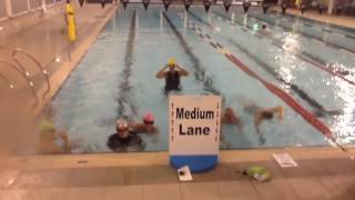 Total Immersion Effortless Endurance Freestyle Stroke Correction [upl. by Luedtke268]