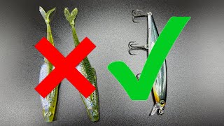 Bank Fishing Top 4 MUST HAVE baits for November [upl. by Apthorp]