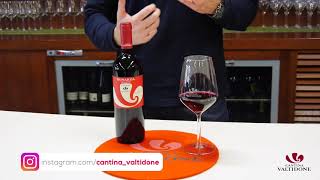 Bonarda vivace Doc  Linea Viti e Vini Cantina Valtidone [upl. by Emolas]