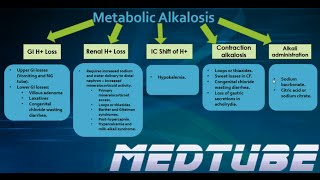 Metabolic Alkalosis Made Easy [upl. by Anerehs]