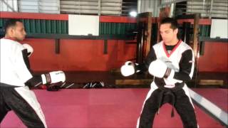 Point Fighting Kickboxing Techniques Tutorial Dive Bomb Blitz by Juan Ramón Fernández [upl. by Mahmud516]