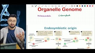 Organelle genome Origin story of Mitochondria and Chloroplast ARS Agri Biotech  CSIR ICARJRF [upl. by Nyasuh]