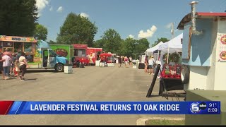 Lavender Festival returns to Oak Ridge [upl. by Sirrep]