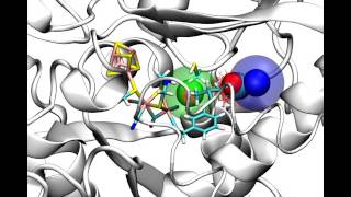 O2 access to the Hcluster of FeFe hydrogenase [upl. by Sset376]