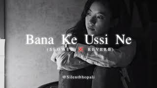 Bana Ke Usi Ne Ujada Mera Aashiyana  New Songs  New Version  Slowed Reverb  Full Lofi Songs 2024 [upl. by Trah940]