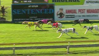 CapalabaSunday01092024Race9 [upl. by Vidda327]