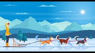 Dog Sledding [upl. by Eichman]