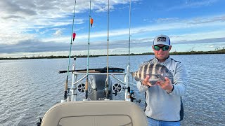 Inshore Fishing in Homosassa FL  New Year’s Eve Weekend [upl. by Sirronal]