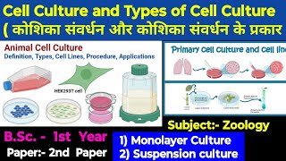 Cell Culture Monolayer culture and Suspension culture Types of cell culture Happybiologyclass [upl. by Adar]