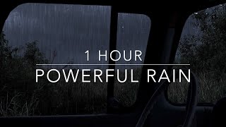 Powerful night thunderstorm  Heavy Rain and Thunder  Rain Sounds for sleep  1 hour Windy Rain [upl. by Vil]