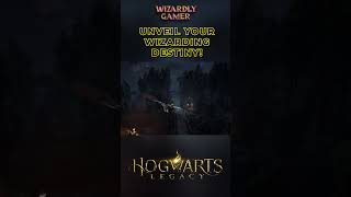 I Went to the Wizarding World of Harry Potter [upl. by Cuda]