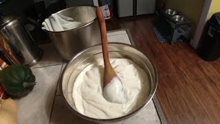 Make Yogurt In Your Instantpot [upl. by Irma530]