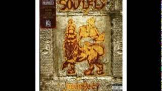 Soulfly  Song Remains Insane Prophecy Box Set [upl. by Auqinu]