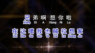 王韵 《 兄弟想你了 DJ 》 xiong di xiang ni le [upl. by Adnimra746]