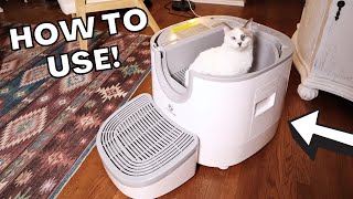 Furoomate Litter Box Review Setup  Demo [upl. by Enuahs]