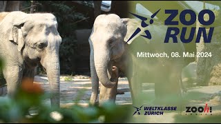 Weltklasse Zürich Zoo Run  Zoo Zürich [upl. by Ardnasac]