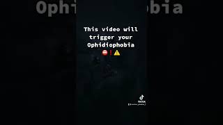 This video will TRIGGER your OPHIDIOPHOBIA ⚠️⚠️ [upl. by Dnumyar838]