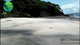 SABOGA ISLAND PANAMA [upl. by Anauqed]