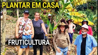 Fruticultura e Sustentabilidade Aulas no Plantar em Casa [upl. by Kassey770]