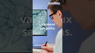 AVC Les Facteurs de risque de lAccident Vasculaire Cérébral AVC neurologie cardiologie [upl. by Bride]