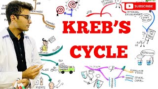 Krebs Cycle Made Easy [upl. by Eerised]