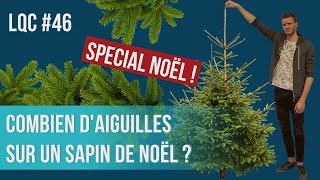 Combien daiguilles sur un sapin de Noël  LQC 46 [upl. by Nryhtak636]