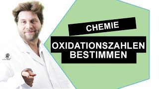 Oxidationszahlen bestimmen mit Beispielen  Chemie 2020  Scienceguru Dr Mark Richter chemielernen [upl. by Norean942]