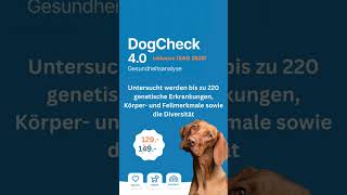 Dogcheck Aktion mit ISAG2020 [upl. by Simona]