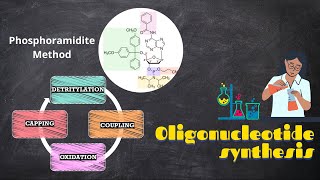 Chemical synthesis of oligonucleotidesPhosphoramidite Method [upl. by Annez]