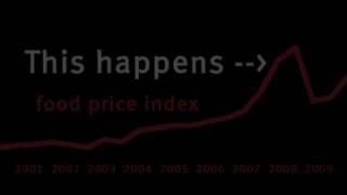 Food Speculation by Large Banks and Funds [upl. by Cheshire]