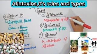 AflatoxinsMycotoxinsFull explaination in Hindi biochemistry [upl. by Tindall]