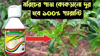 মরিচের পাতা কোকড়ানো রোগমরিচের পাতা কোকড়ানো রোগের ঔষুধডাইমেনশনপাতা কোকড়ানো সমাধানAgroone1 [upl. by Ahsikyw]